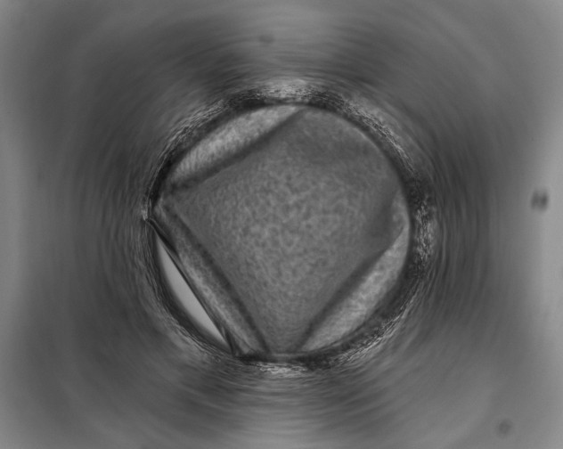 X0000098010597200804181137