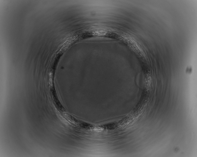 X0000098010598200804181137