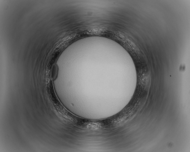 X0000098010599200804181137