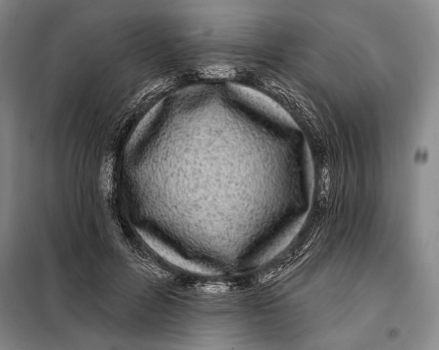 X0000098010600200804181137