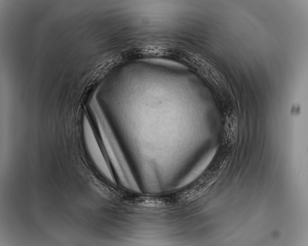 X0000098010601200804181137