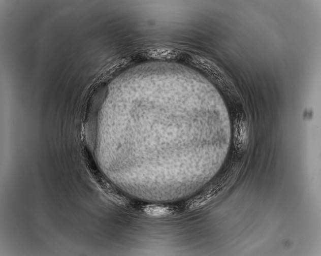 X0000098010602200804181137