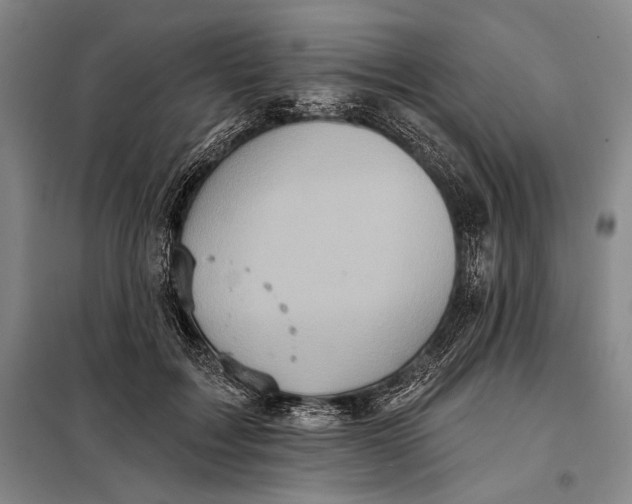 X0000098010603200804181137