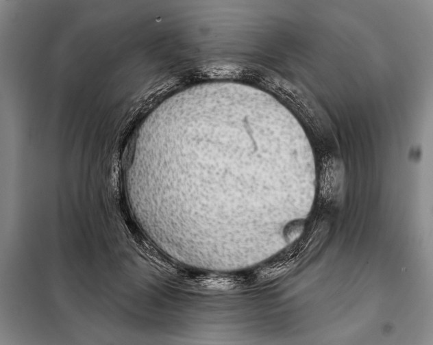 X0000098010604200804181137