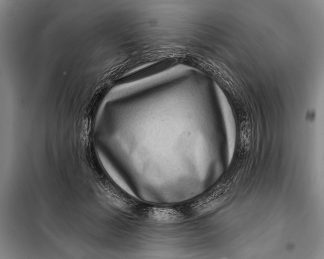 X0000098010605200804181137