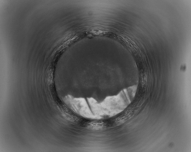 X0000098010606200804181137