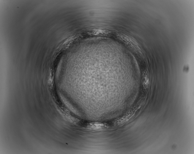 X0000098010607200804181137