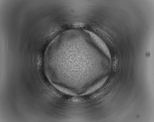 X0000098010608200804181137