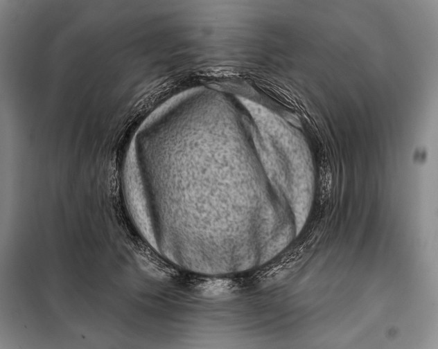 X0000098010609200804181137