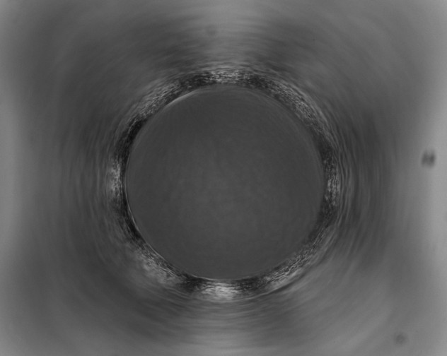 X0000098010610200804181137