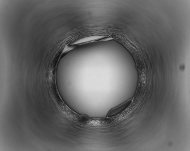 X0000098010611200804181137