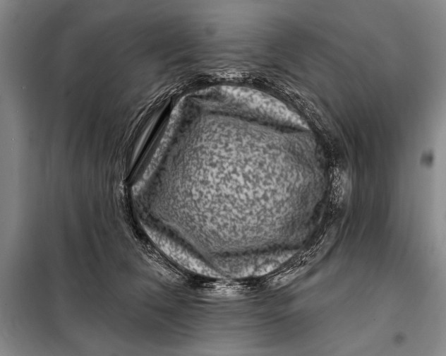 X0000098010612200804181137