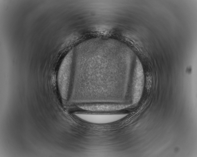 X0000098010613200804181137