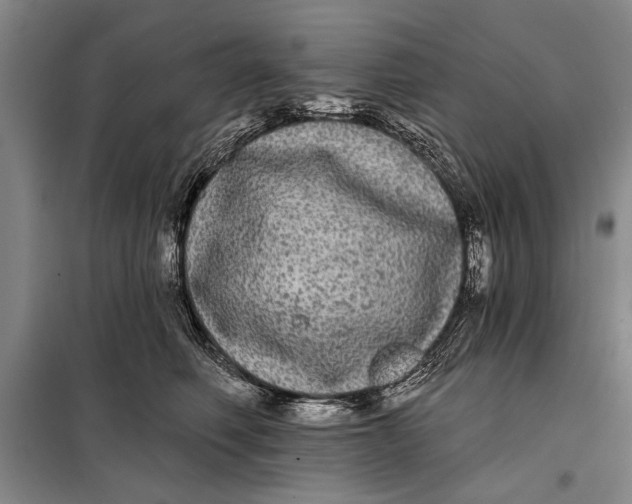 X0000098010614200804181137