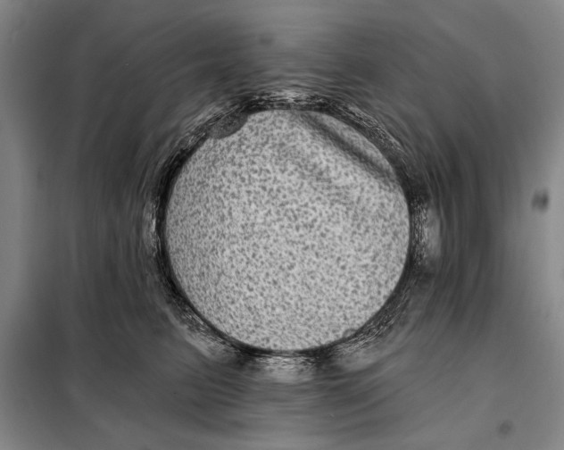 X0000098010615200804181137