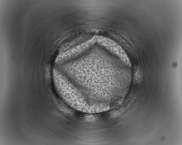 X0000098010616200804181137