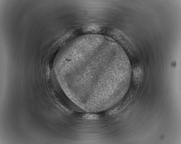 X0000098010617200804181137