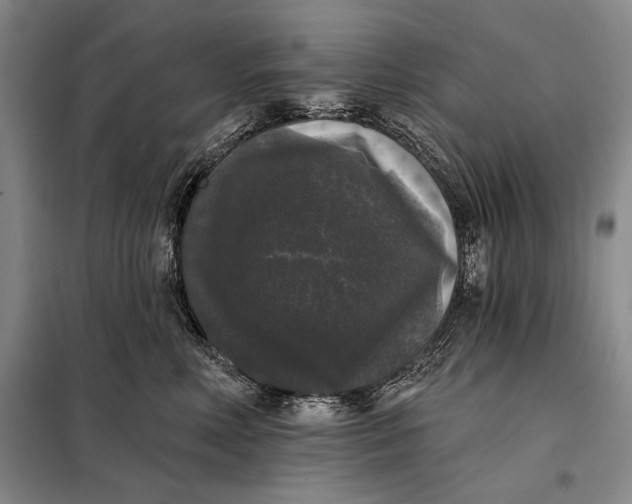 X0000098010618200804181137