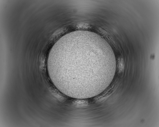 X0000098010619200804181137