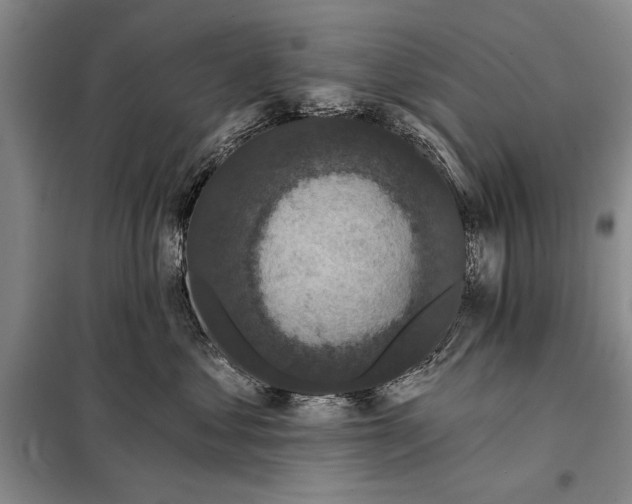 X0000098010621200804181137