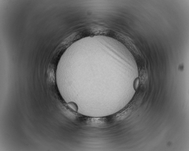 X0000098010622200804181137