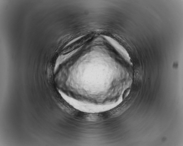 X0000098010623200804181137