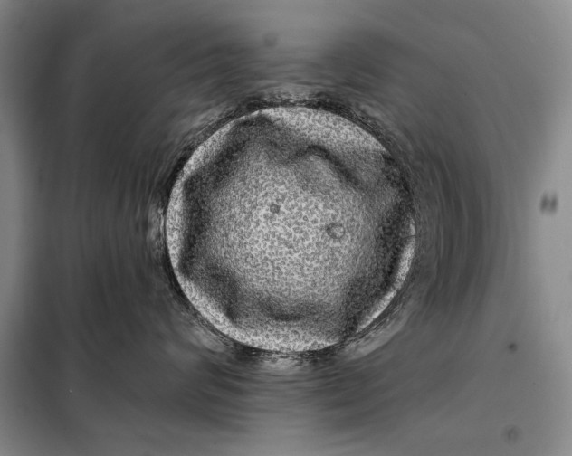 X0000098010624200804181137