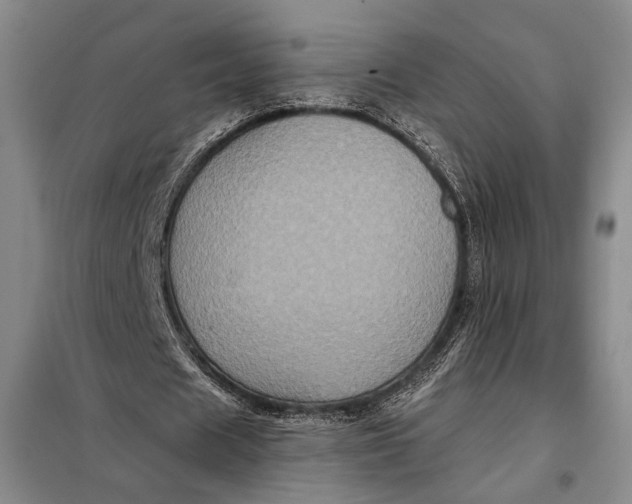 X0000098010625200804181136