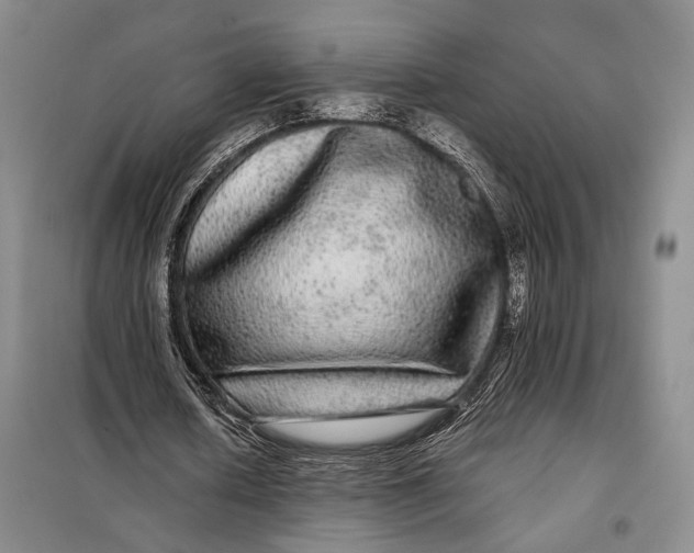 X0000098010626200804181136