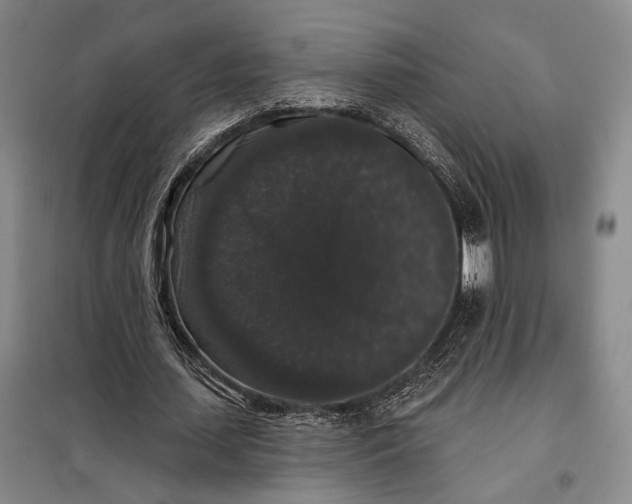 X0000098010627200804181136