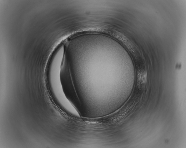 X0000098010628200804181136