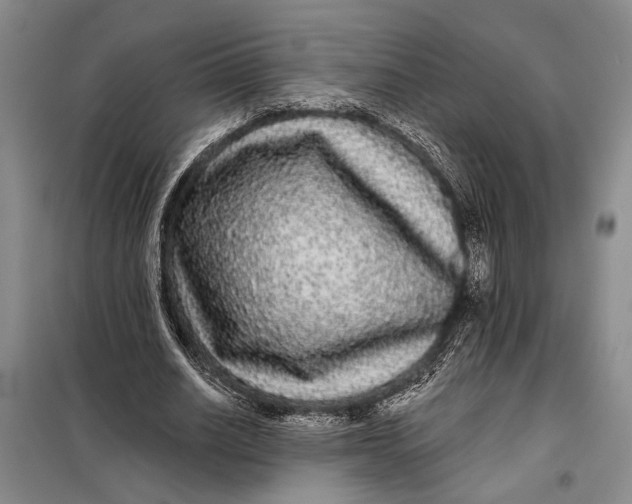 X0000098010630200804181136