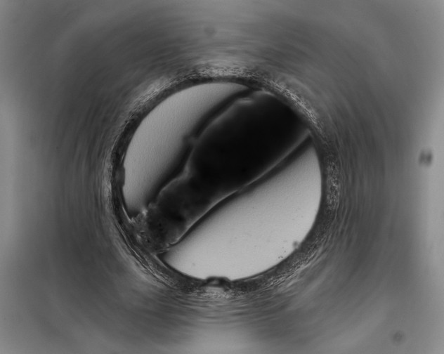 X0000098010631200804181136