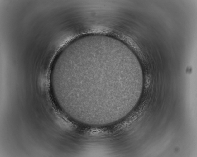 X0000098010632200804181136