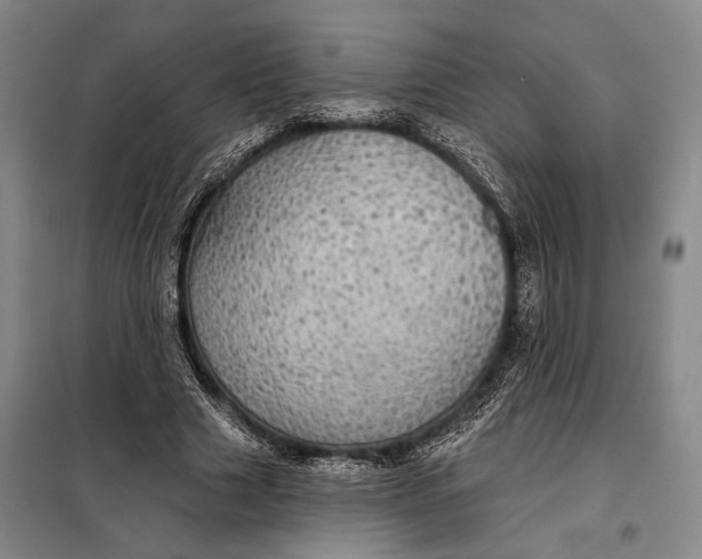 X0000098010633200804181136