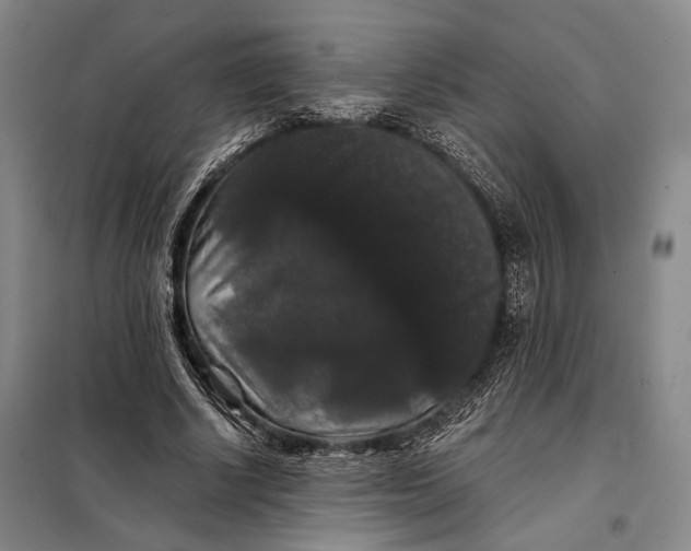 X0000098010634200804181136