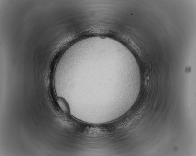 X0000098010635200804181136