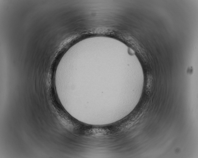 X0000098010636200804181136