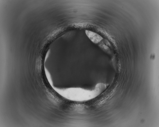 X0000098010637200804181136