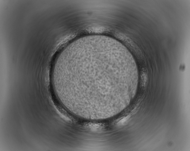 X0000098010638200804181136