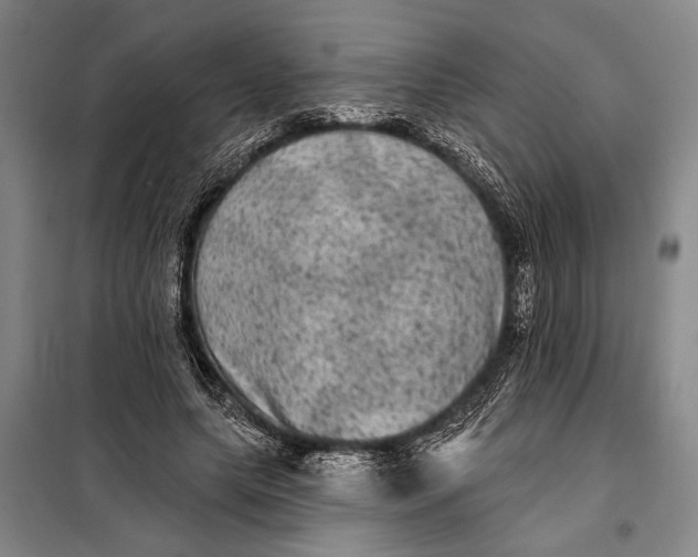 X0000098010639200804181136