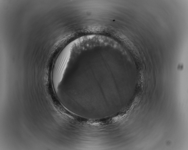 X0000098010640200804181136