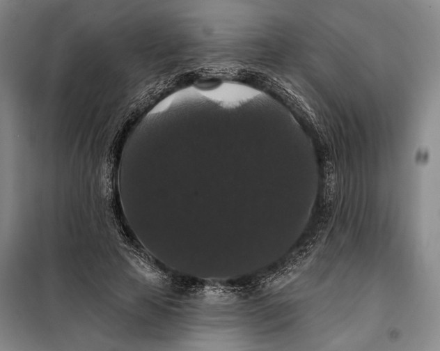 X0000098010641200804181136