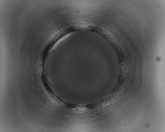 X0000098010642200804181136