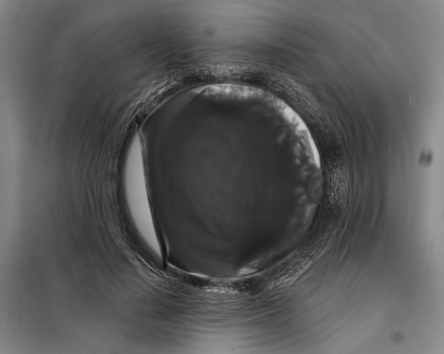 X0000098010644200804181136