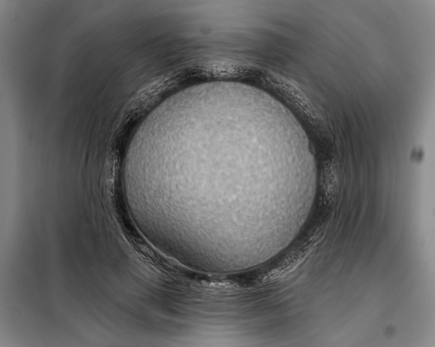 X0000098010645200804181136