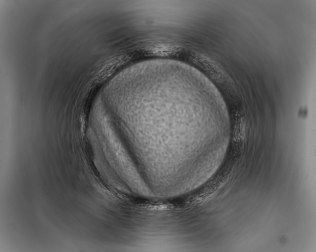 X0000098010646200804181136