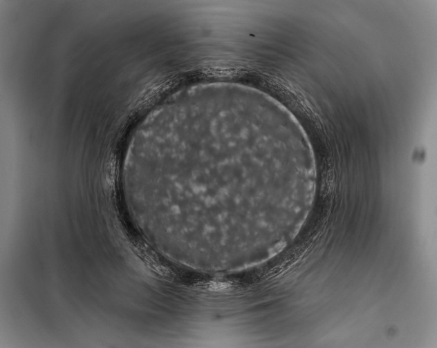 X0000098010647200804181136