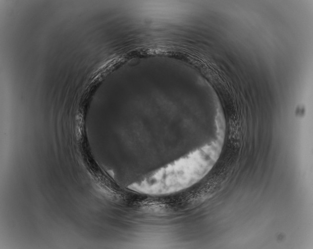 X0000098010648200804181136