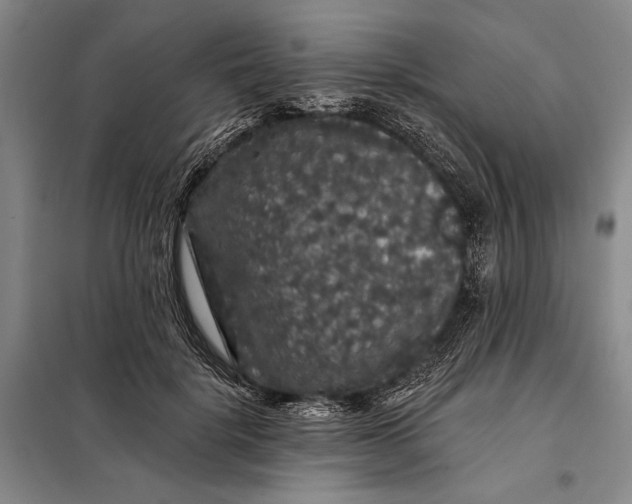 X0000098010652200804181136